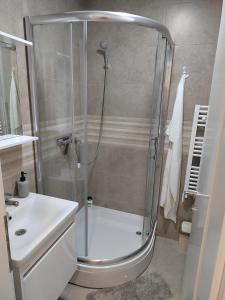 a shower with a glass door in a bathroom at Apartman Max in Modriča