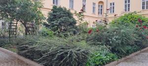 un jardín de plantas frente a un edificio en Center Gold Apartment, en Budapest