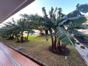 Zahrada ubytování Seaview Apartment Los Cactus