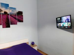 ein Schlafzimmer mit einem an der Wand hängenden TV in der Unterkunft Little Hungary Apartment in Budapest