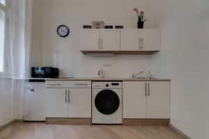 Kuchyňa alebo kuchynka v ubytovaní Vita Nejedleho apartments