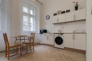 Kuchyňa alebo kuchynka v ubytovaní Vita Nejedleho apartments