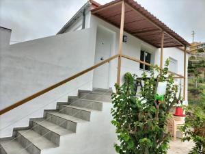 eine Treppe, die zu einem Haus mit einer Pflanze führt in der Unterkunft casa lipa in La Guancha