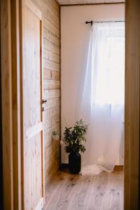 ZaBieszczaduj - apartamenty do wynajęcia في لوتوويسكا: نافذة مع نبات الفخار في الغرفة