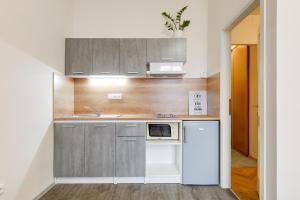 Kuchyňa alebo kuchynka v ubytovaní Vita Nejedleho apartments