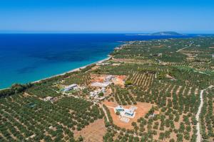 an aerial view of a vineyard next to the ocean at Rikia Deluxe Houses in Vromonérion