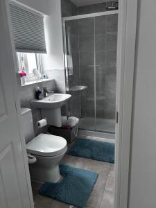 a bathroom with a toilet and a sink and a shower at Double Room in a Family Home - 15 Minutes Walk to Famous Bicester Village in Chesterton