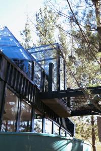 a house with a staircase in front of some trees at The Franschhoek Glass Teepee #OnceUponaDome in Franschhoek