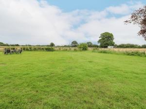 un gran campo de hierba con caballos a lo lejos en 2 Stud Cottage en Hainford