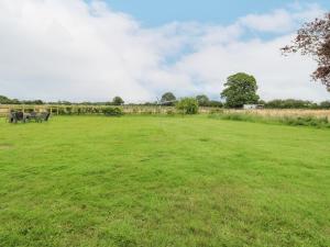 a large grassy field with horses in the distance at 2 Stud Cottage in Hainford