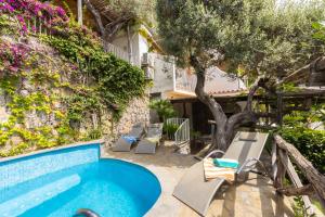 a swimming pool with a tree and some chairs at Villa Rita Apartments in Massa Lubrense