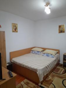 1 dormitorio con 1 cama en una habitación en Casuta Maria Alexandra, en Călimăneşti