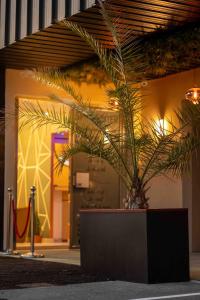 a potted plant sitting in front of a building at Hôtel Center Saint-Quentin in Saint-Quentin