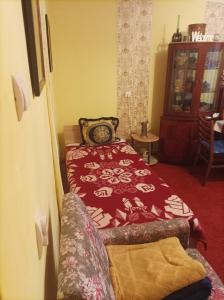 クルジュ・ナポカにあるLocuința două dormitoare pt 3-4persoaneのベッドルーム(ベッド1台、ソファ付)