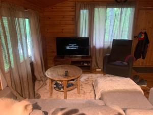 ein Wohnzimmer mit einem Sofa und einem TV in der Unterkunft Rauhallinen mökki luonnon keskellä. in Orivesi