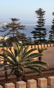 uma palmeira em frente a uma parede com árvores e o oceano em Villa Maroc Essaouira em Essaouira