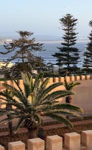 eine Palme vor einer Wand mit Bäumen und dem Meer in der Unterkunft Villa Maroc Essaouira in Essaouira