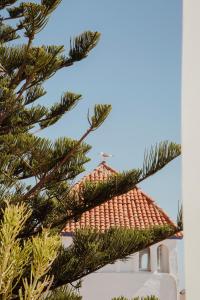 a christmas tree in front of a building at Villa Maroc Essaouira in Essaouira