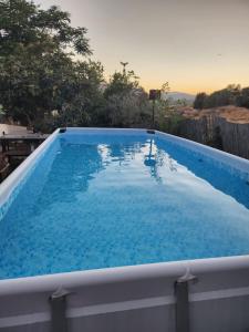 a large swimming pool with blue water at Zug Yonim in Livnim