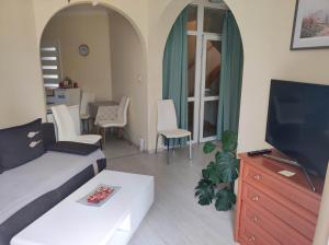 Televízia a/alebo spoločenská miestnosť v ubytovaní Anna apartman
