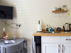 a kitchen with a sink and a tv on a counter at Efyrnwy Pod Vip in Llanfyllin