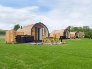 a cabin in a field with a picnic table in front at Efyrnwy Pod Vip in Llanfyllin