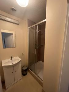 a bathroom with a shower and a sink at RBR 782 - Beach Resort Kamperland in Kamperland