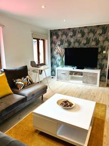 sala de estar con sofá y TV de pantalla plana en Les Chambres T4, en Huy