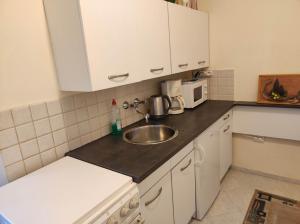 Kuchyňa alebo kuchynka v ubytovaní Anna apartman