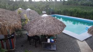 un grupo de sombrillas junto a una piscina en Rancho el novato en Concepción de La Vega