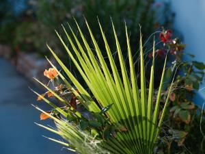 Giardino di Aelia Collection Suites - Adults Friendly