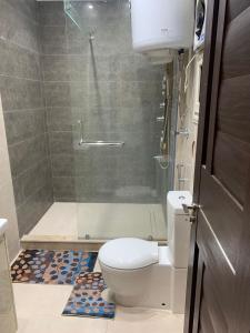 a bathroom with a toilet and a shower at شقه فندقيه الترا لوكس in Asyut