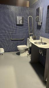 a bathroom with a toilet and a sink at Albergue & Cafetería Vía de la Plata Hervás in Hervás