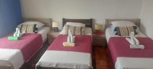 three beds in a room with two at Noclegi in Poznań