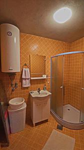 a bathroom with a shower and a sink and a toilet at Villa Dandelion in Žabljak