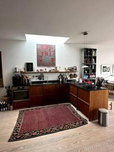 哥本哈根Unique boathouse.的配有炉灶和台面的厨房 更多17张照片