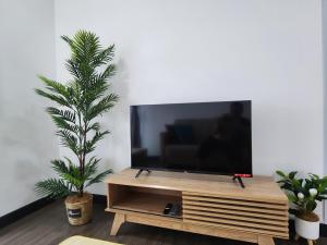 einen TV auf einem Holzständer in einem Wohnzimmer mit einer Pflanze in der Unterkunft Bunga Rampai Homestay, Vista Bangi in Bangi