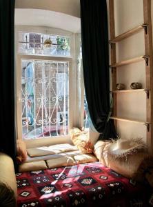 a woman laying on a bed in front of a window at Angels Roof Vera - boutique apartment. Wine Factory in Tbilisi City