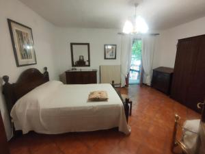 een slaapkamer met een groot wit bed in een kamer bij Casa Valda in Fanano