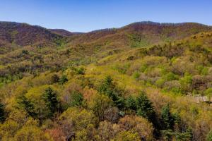 Un paisaje natural cerca de la casa vacacional