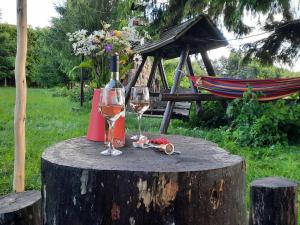 a table with two glasses of wine and a hammock at Cabana ciocanu in Şirnea