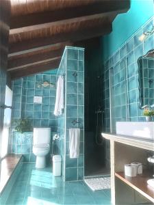 Baño de azulejos azules con aseo y lavamanos en Agroturismo el Encuentro, en Leza