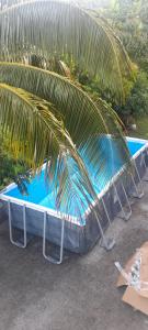 uma palmeira sentada ao lado de uma piscina em Refuge de Joel em Case-Pilote