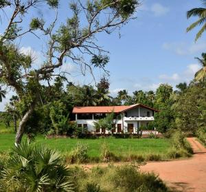 een huis in het midden van een veld bij Royal Views Residence in Anuradhapura