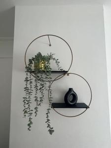 a shelf with a vase and a plant on it at CAPRI 13 SA's 3 bedroom home, close to Loughborough University and M1 in Loughborough