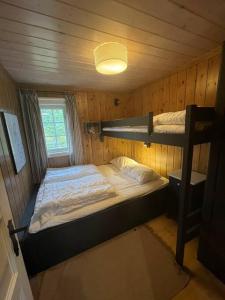 ein kleines Zimmer mit 2 Etagenbetten und einer Lampe in der Unterkunft TRYSIL - Koselig norsk fjellhytte in Nybergsund