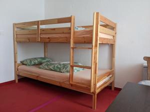 a wooden bunk bed with a ladder in a room at Monkey Factory - Mini Home-Stay Hostel in Traben-Trarbach