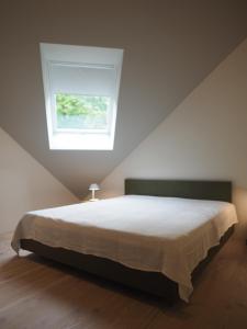 a bedroom with a large bed with a window at Bleibe Menzenschwand in St. Blasien