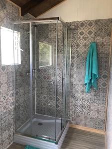 a shower with a glass door in a bathroom at Cabaña Ruta Petrohue in Ensenada