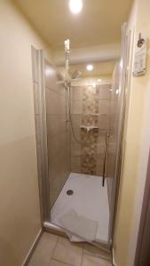 a shower with a glass door in a bathroom at Hotel garni & Oma's Heuhotel 'Pension zur Galerie' in Barby